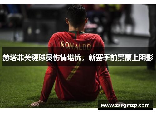 赫塔菲关键球员伤情堪忧，新赛季前景蒙上阴影